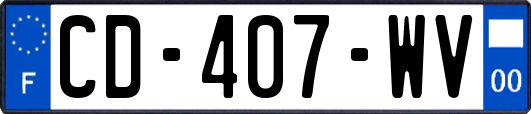 CD-407-WV