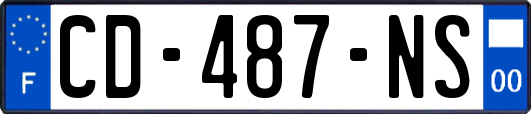 CD-487-NS