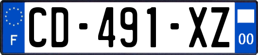 CD-491-XZ
