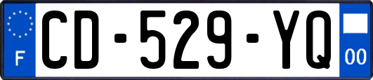 CD-529-YQ