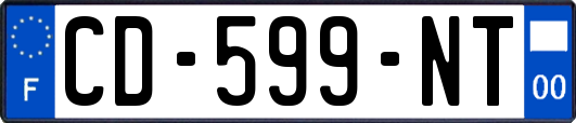 CD-599-NT