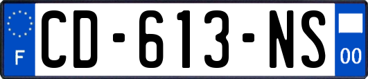 CD-613-NS