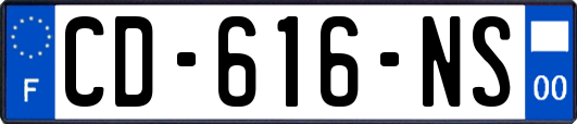 CD-616-NS