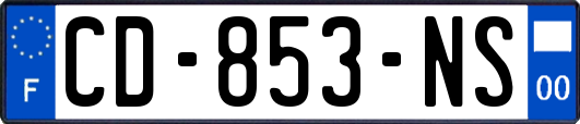CD-853-NS