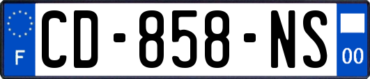 CD-858-NS