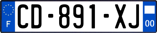 CD-891-XJ