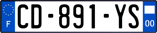 CD-891-YS