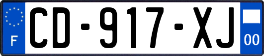 CD-917-XJ