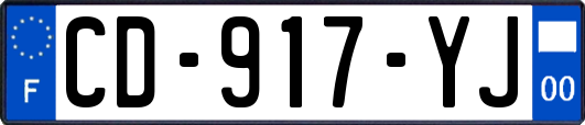 CD-917-YJ