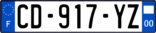 CD-917-YZ