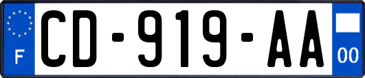 CD-919-AA