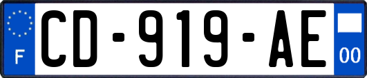 CD-919-AE