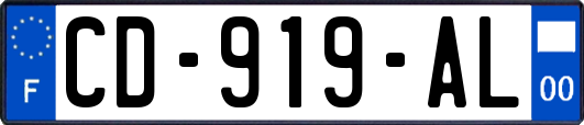 CD-919-AL