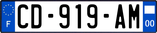 CD-919-AM