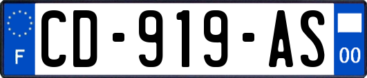 CD-919-AS