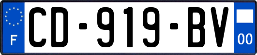 CD-919-BV