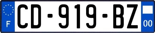 CD-919-BZ