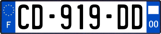 CD-919-DD