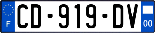 CD-919-DV