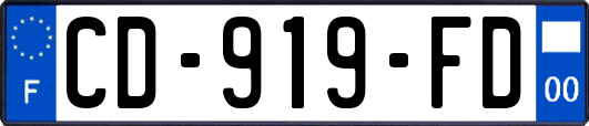 CD-919-FD