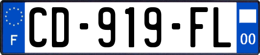 CD-919-FL