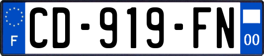 CD-919-FN
