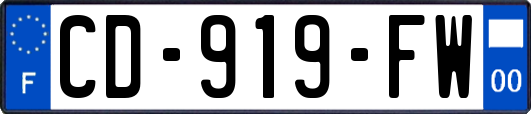 CD-919-FW