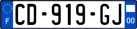 CD-919-GJ