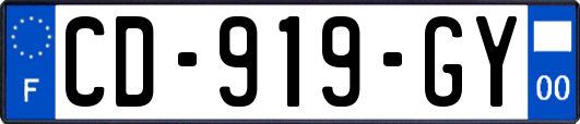 CD-919-GY