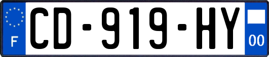 CD-919-HY