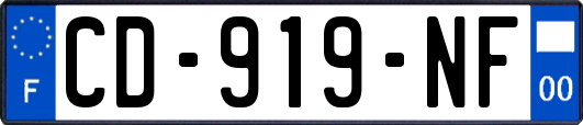 CD-919-NF