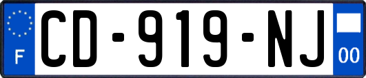 CD-919-NJ