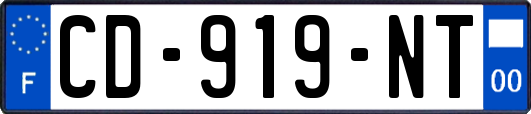 CD-919-NT