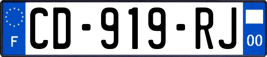 CD-919-RJ