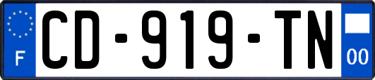 CD-919-TN