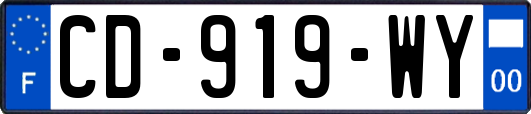 CD-919-WY