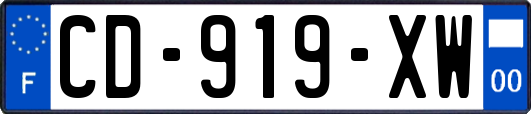 CD-919-XW