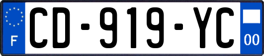 CD-919-YC