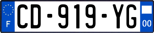 CD-919-YG