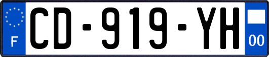 CD-919-YH