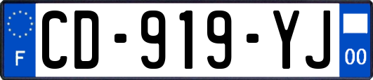 CD-919-YJ