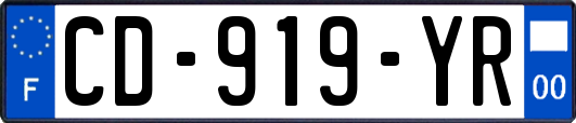 CD-919-YR