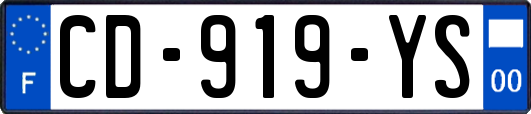 CD-919-YS