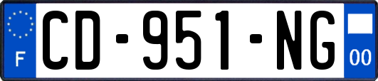 CD-951-NG