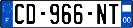 CD-966-NT