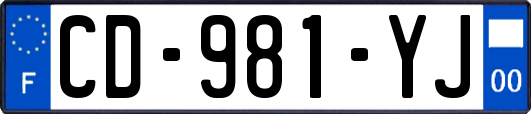 CD-981-YJ
