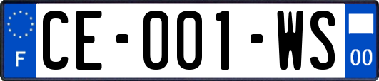 CE-001-WS