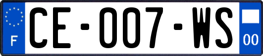 CE-007-WS