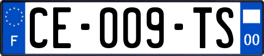 CE-009-TS