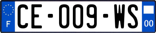 CE-009-WS